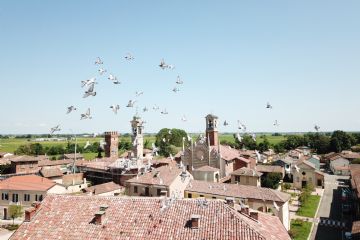 Sfoglia la galleria